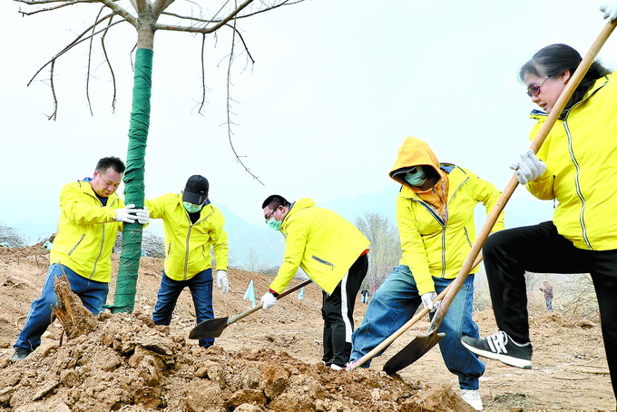 今天，2000余名志愿者在张家湾公园参与义务植树