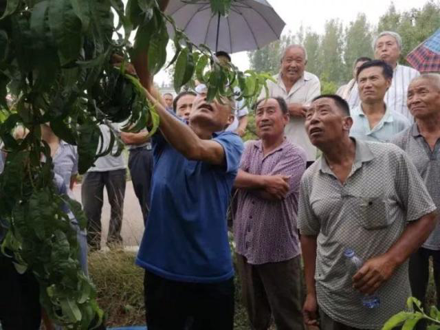 图片3.png