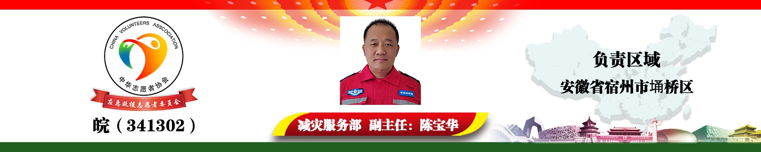 皖（341302）陈宝华.png