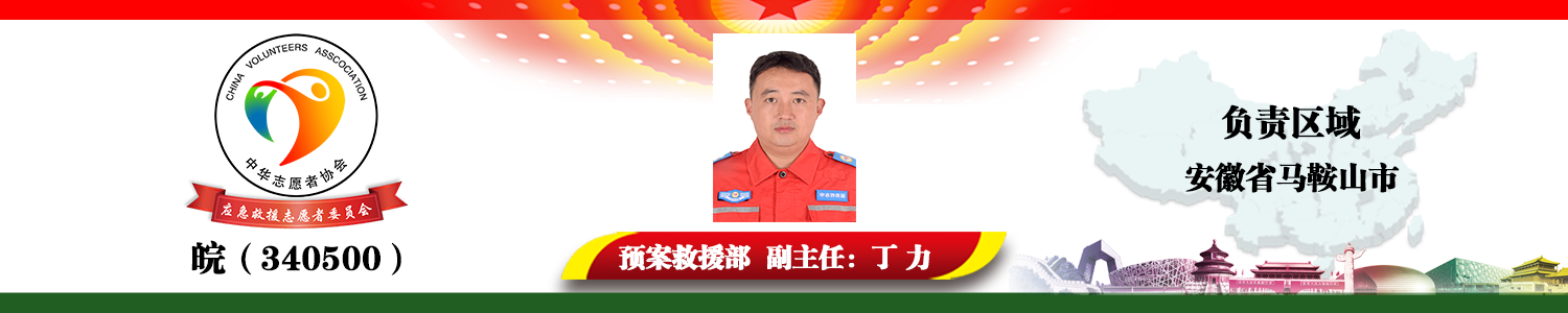 皖（340500）丁力.png